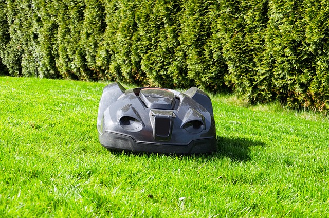 Robotplæneklipper fra tanke til installation